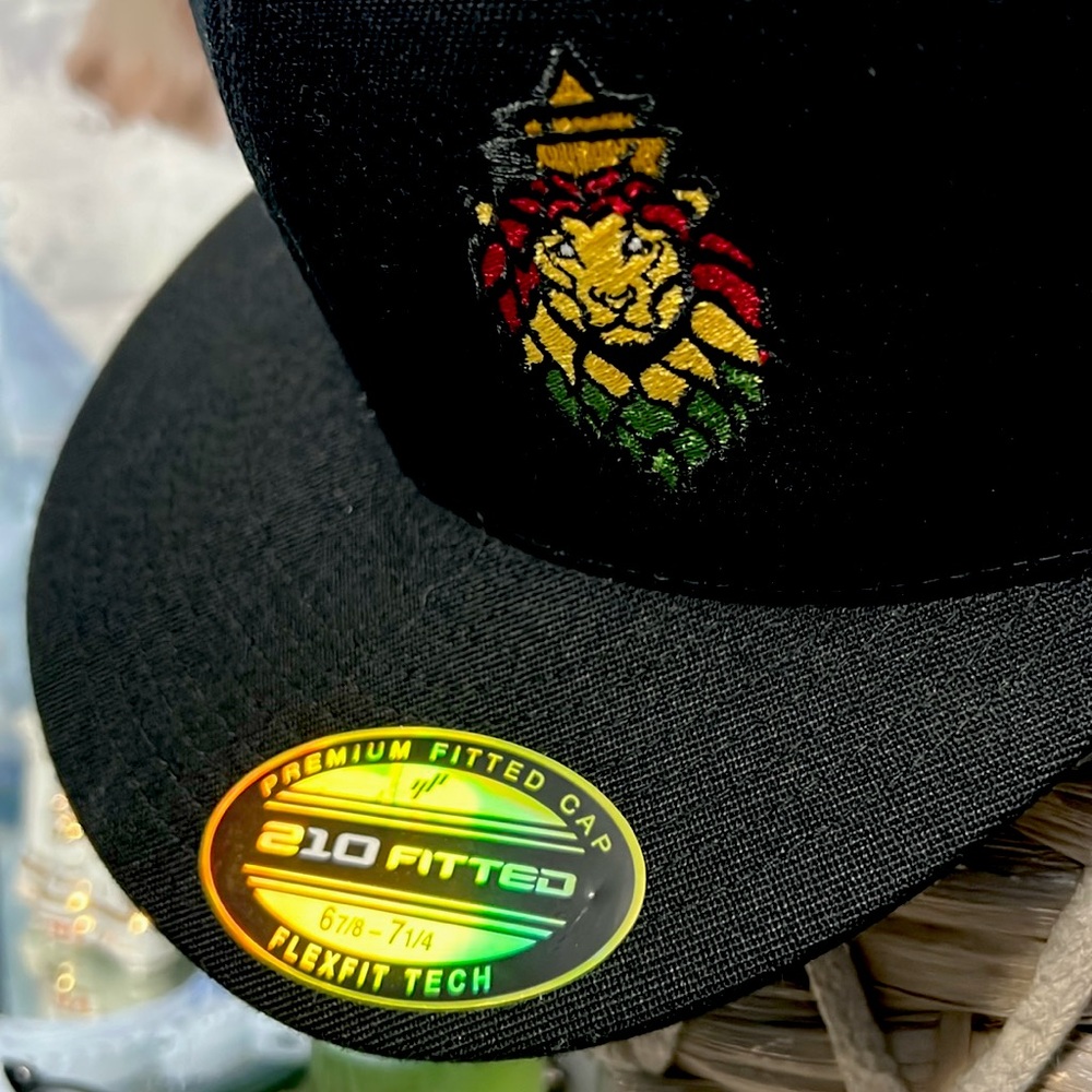 💥Free with Purchase💥New "Double Mountain" Hat